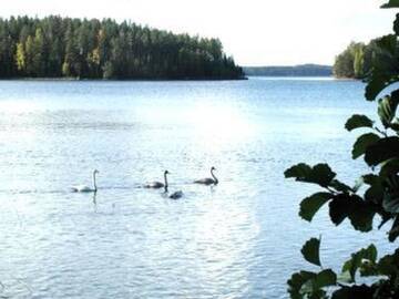 Фото номера Дом для отпуска Дома для отпуска Holiday Home Huvila hiljaisuus г. Okka 31